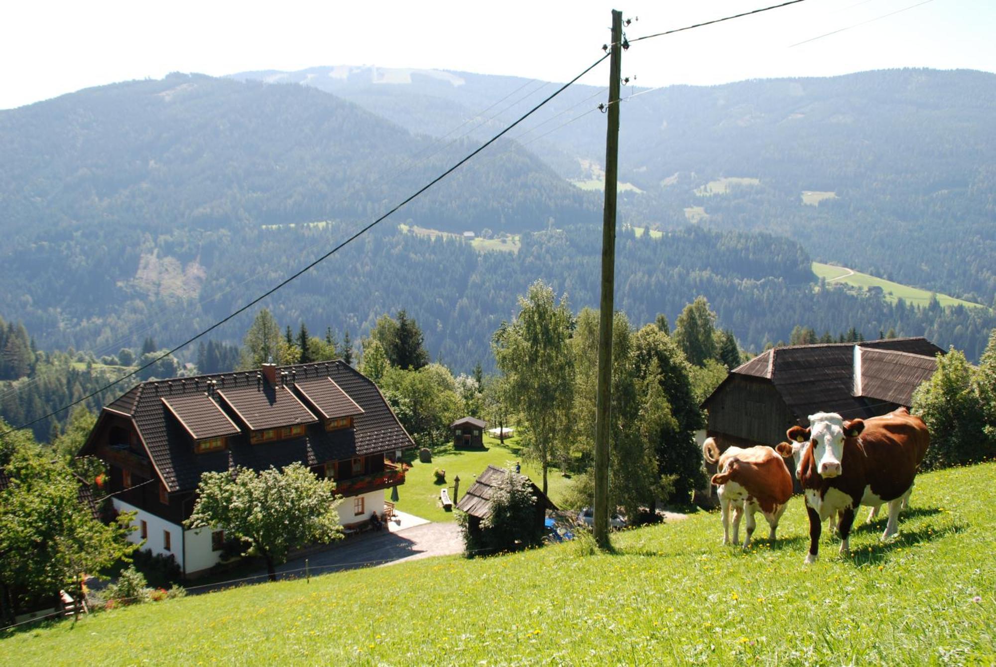 Apartment Lahnerhof