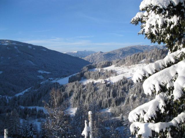 Apartment Lahnerhof Arriach