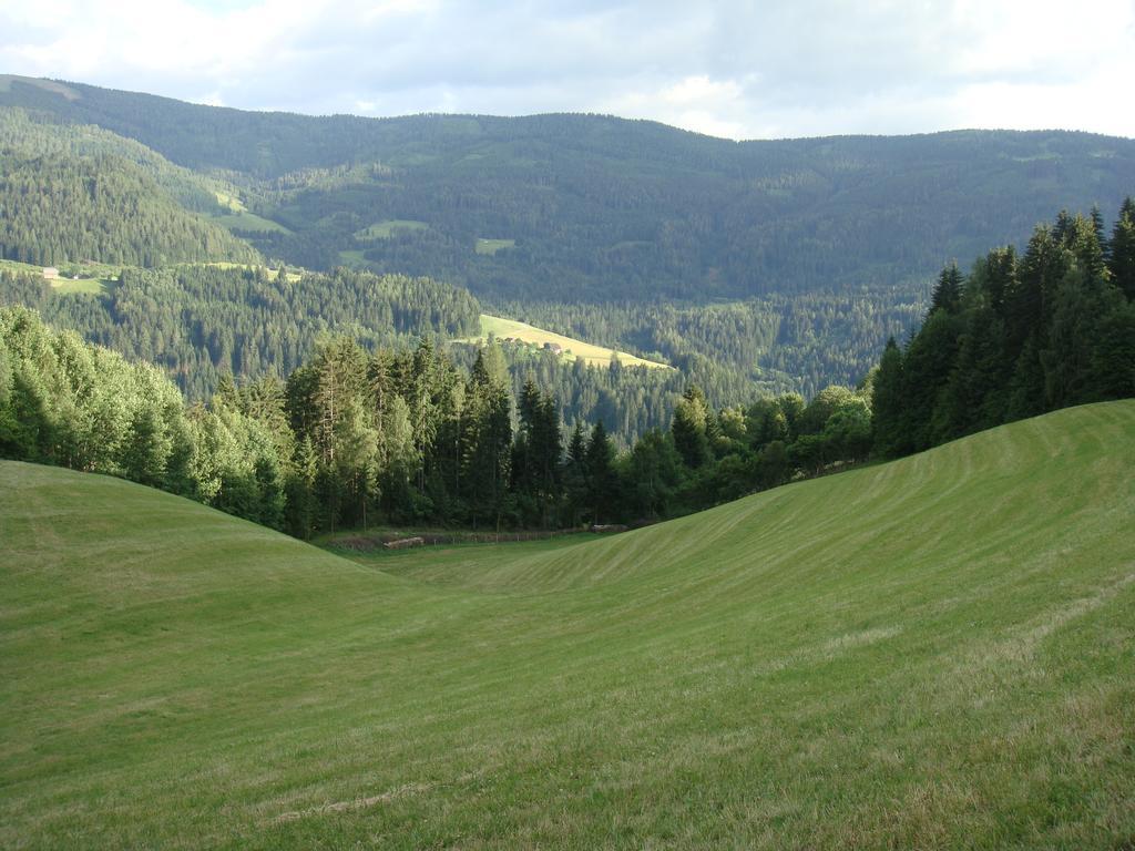 Apartment Lahnerhof *