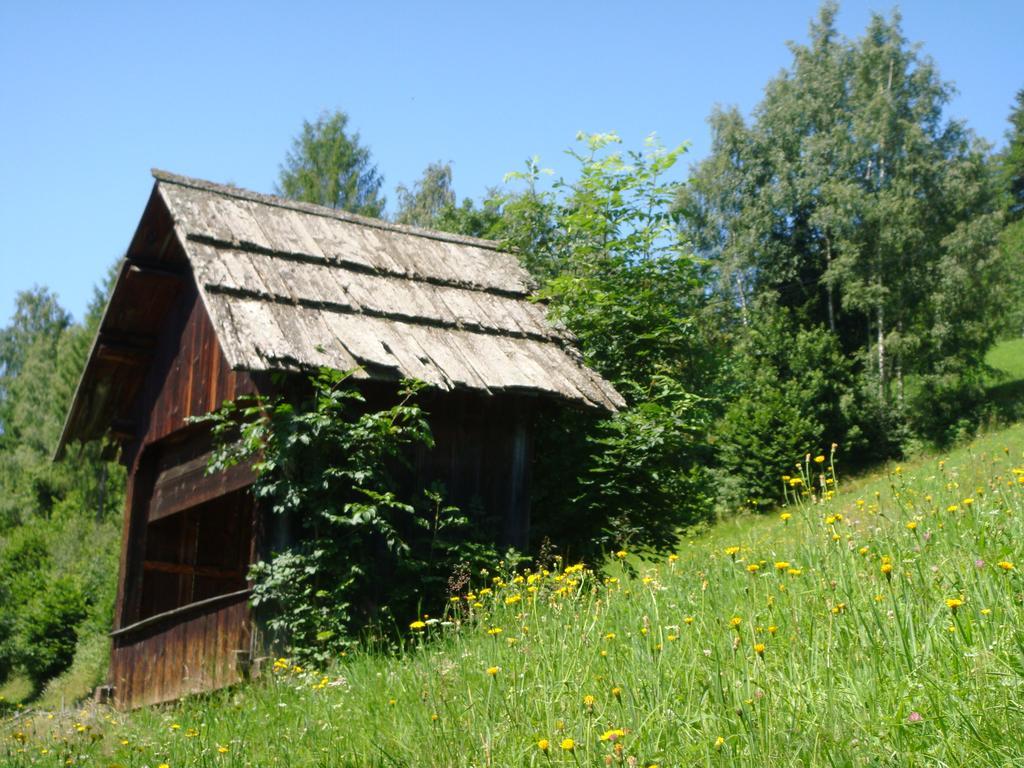 Apartment Lahnerhof Arriach